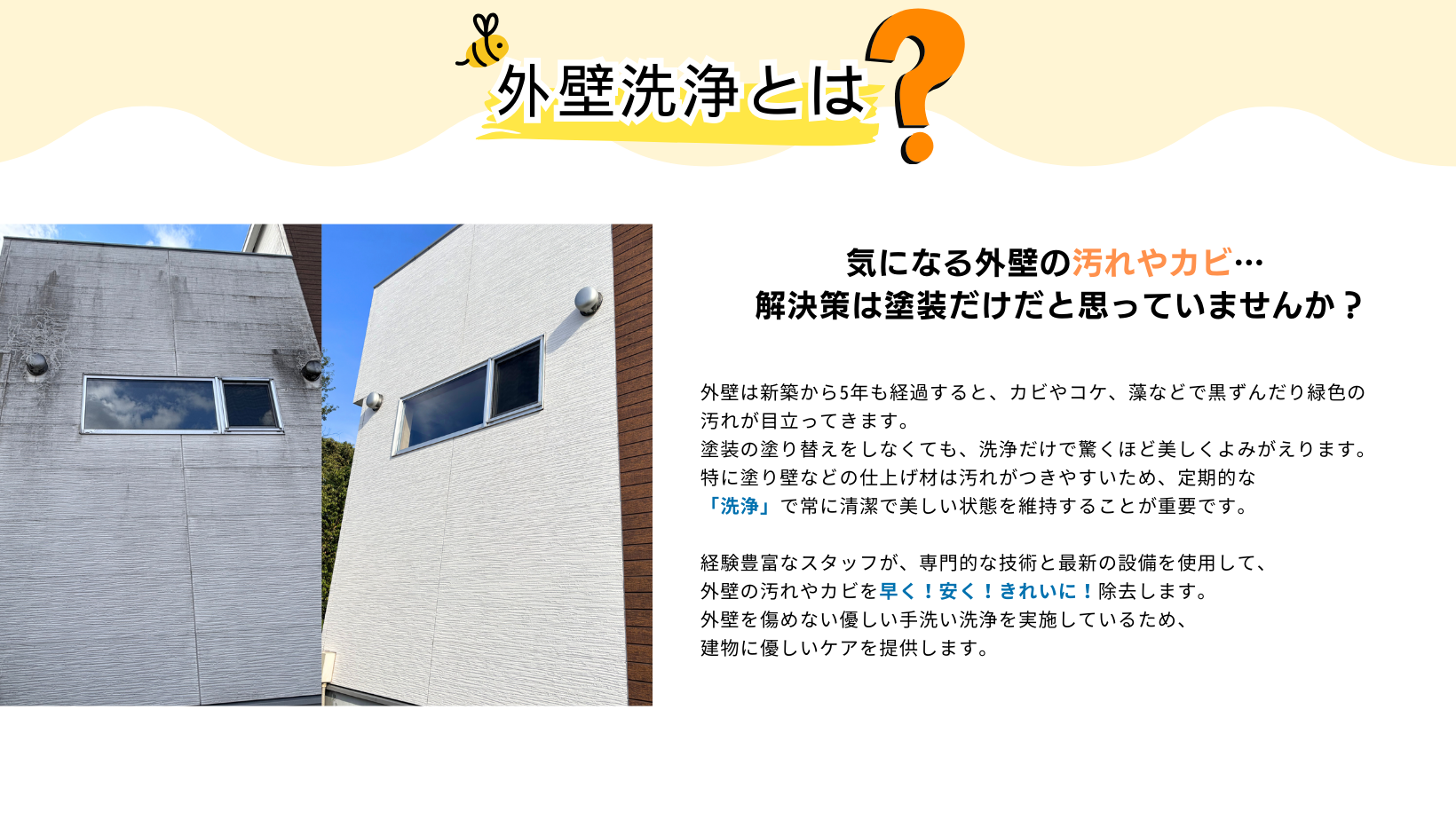 外壁は新築から5年も経過すると、カビやコケ、藻などで黒ずんだり緑色の
汚れが目立ってきます。
塗装の塗り替えをしなくても、洗浄だけで驚くほど美しくよみがえります。
特に塗り壁などの仕上げ材は汚れがつきやすいため、定期的な
「洗浄」で常に清潔で美しい状態を維持することが重要です。

経験豊富なスタッフが、専門的な技術と最新の設備を使用して、
外壁の汚れやカビを早く！安く！きれいに！除去します。
外壁を傷めない優しい手洗い洗浄を実施しているため、
建物に優しいケアを提供します。
気になる外壁の汚れやカビ… 
解決策は塗装だけだと思っていませんか？